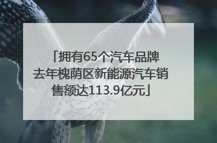 拥有65个汽车品牌 去年槐荫区新能源汽车销售额达113.9亿元