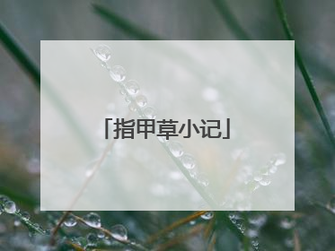 指甲草小记