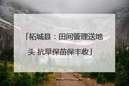 柘城县：田间管理送地头 抗旱保苗保丰收