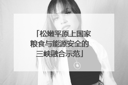 松嫩平原上国家粮食与能源安全的三峡融合示范