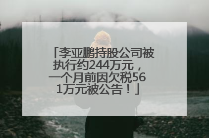 李亚鹏持股公司被执行约244万元，一个月前因欠税561万元被公告！