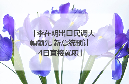 李在明出口民调大幅领先 新总统预计4日直接就职