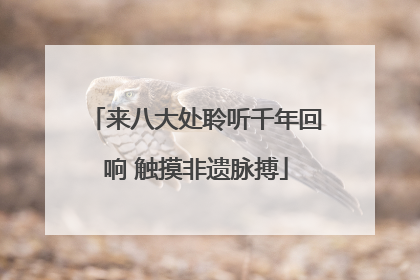 来八大处聆听千年回响 触摸非遗脉搏