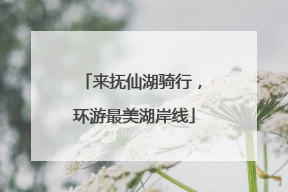 来抚仙湖骑行，环游最美湖岸线