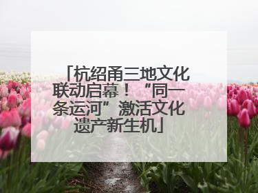 杭绍甬三地文化联动启幕！“同一条运河”激活文化遗产新生机