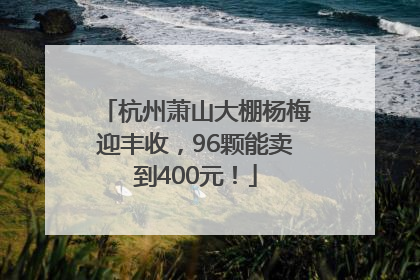 杭州萧山大棚杨梅迎丰收，96颗能卖到400元！
