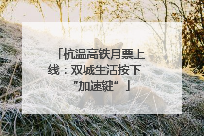 杭温高铁月票上线：双城生活按下“加速键”