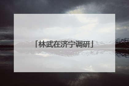 林武在济宁调研