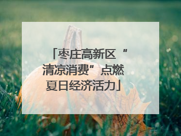 枣庄高新区“清凉消费”点燃夏日经济活力