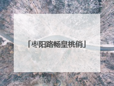 枣阳路畅皇桃俏