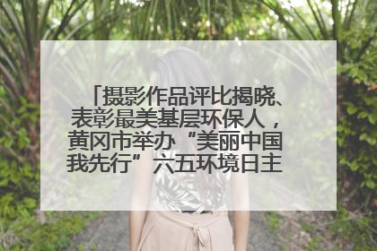 摄影作品评比揭晓、表彰最美基层环保人，黄冈市举办“美丽中国我先行”六五环境日主题宣传活动