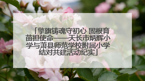 擎旗铸魂守初心 固根育苗担使命——天长市炳辉小学与萧县师范学校附属小学结对共建活动纪实
