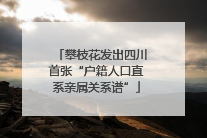 攀枝花发出四川首张“户籍人口直系亲属关系谱”