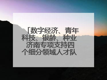 数字经济、青年科技、银龄、种业 济南专项支持四个细分领域人才队伍建设