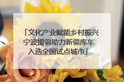 文化产业赋能乡村振兴 宁波援疆助力新疆库车入选全国试点城市