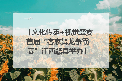 文化传承+视觉盛宴 首届“客家舞龙争霸赛”江西赣县举办