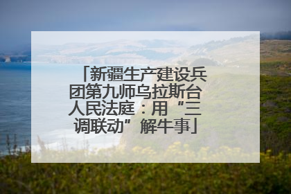 新疆生产建设兵团第九师乌拉斯台人民法庭：用“三调联动”解牛事