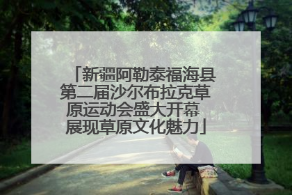 新疆阿勒泰福海县第二届沙尔布拉克草原运动会盛大开幕 展现草原文化魅力