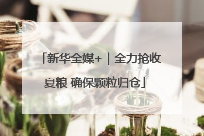新华全媒+｜全力抢收夏粮 确保颗粒归仓