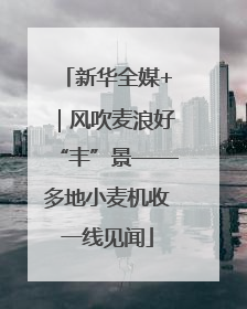 新华全媒+｜风吹麦浪好“丰”景——多地小麦机收一线见闻