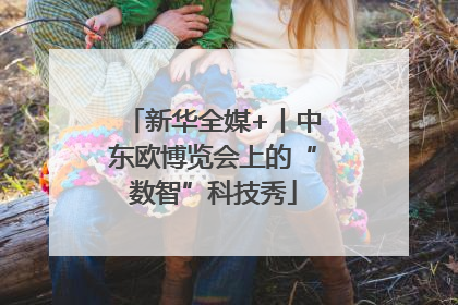 新华全媒+丨中东欧博览会上的“数智”科技秀
