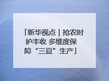 新华视点｜抢农时 护丰收 多维度保障“三夏”生产