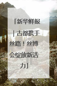 新华鲜报｜古都携手丝路！丝博会绽放新活力