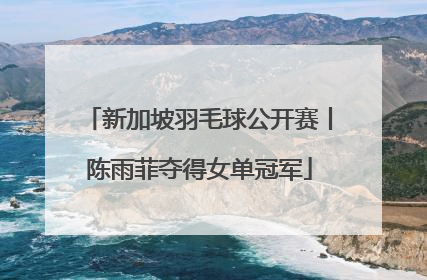 新加坡羽毛球公开赛丨陈雨菲夺得女单冠军