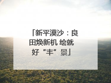 新平漠沙：良田焕新机 绘就好“丰”景