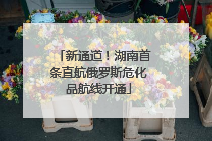 新通道！湖南首条直航俄罗斯危化品航线开通