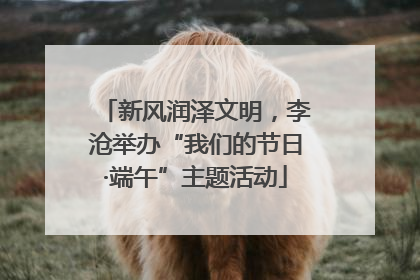 新风润泽文明，李沧举办“我们的节日·端午”主题活动