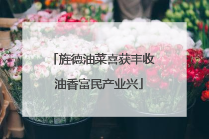 旌德油菜喜获丰收 油香富民产业兴