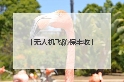 无人机飞防保丰收