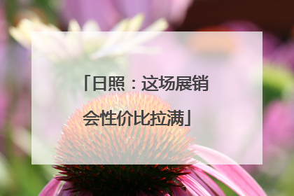 日照：这场展销会性价比拉满