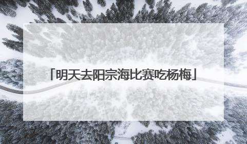 明天去阳宗海比赛吃杨梅