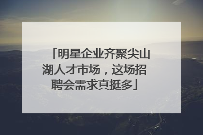 明星企业齐聚尖山湖人才市场，这场招聘会需求真挺多
