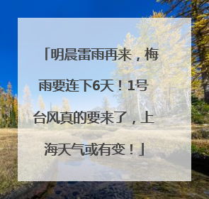 明晨雷雨再来，梅雨要连下6天！1号台风真的要来了，上海天气或有变！
