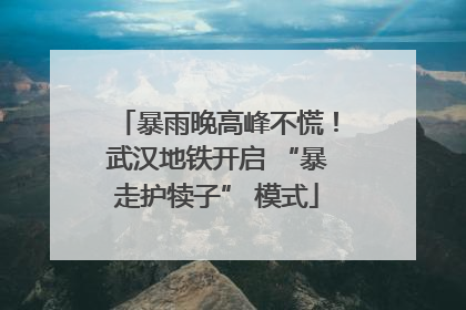 暴雨晚高峰不慌！武汉地铁开启 “暴走护犊子” 模式