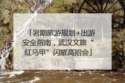 暑期旅游规划+出游安全指南，武汉文旅“红马甲”闪耀高招会