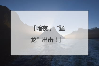 暗夜，“猛龙”出击！