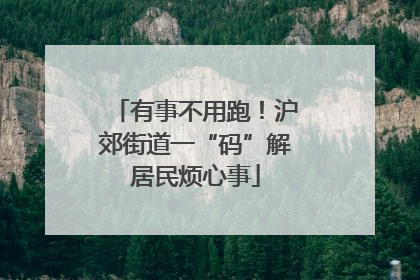 有事不用跑！沪郊街道一“码”解居民烦心事
