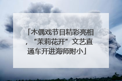木偶戏节目精彩亮相，“茉莉花开”文艺直通车开进海师附小