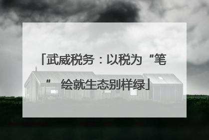 武威税务：以税为“笔” 绘就生态别样绿