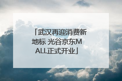 武汉再迎消费新地标 光谷京东MALL正式开业