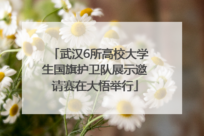 武汉6所高校大学生国旗护卫队展示邀请赛在大悟举行