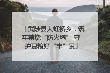 武陟县大虹桥乡：筑牢禁烧“防火墙” 守护夏粮好“丰”景