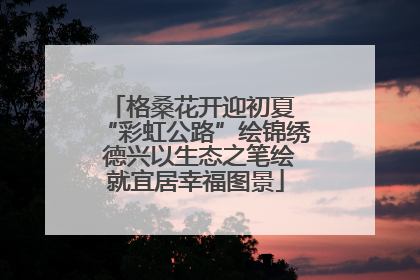 格桑花开迎初夏 “彩虹公路”绘锦绣 德兴以生态之笔绘就宜居幸福图景