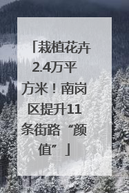 栽植花卉2.4万平方米！南岗区提升11条街路“颜值”