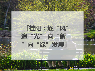 桂阳：逐“风”追“光” 向“新”向“绿”发展