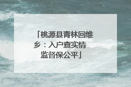桃源县青林回维乡：入户查实情 监督保公平
